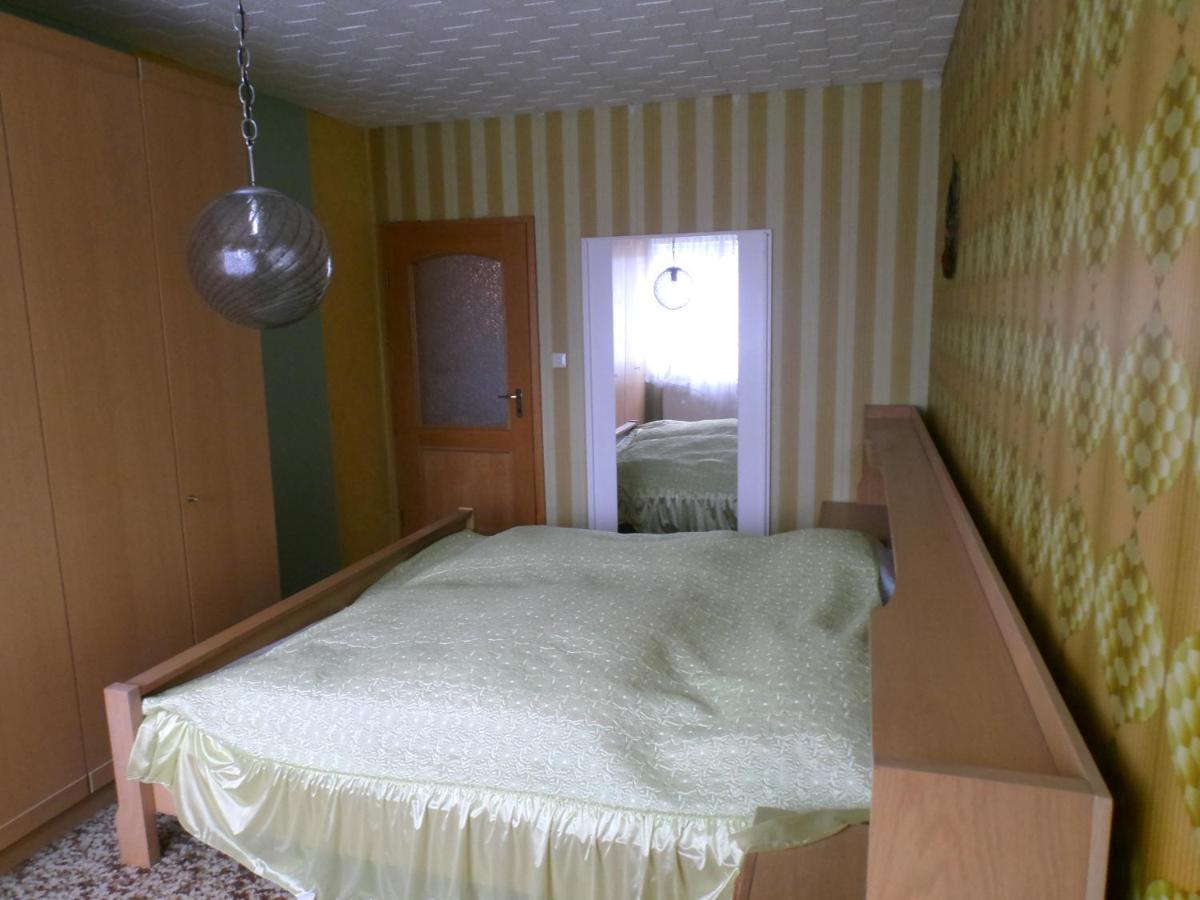 Villa Haus Rennsteig à Reichenbach im Vogtland Extérieur photo