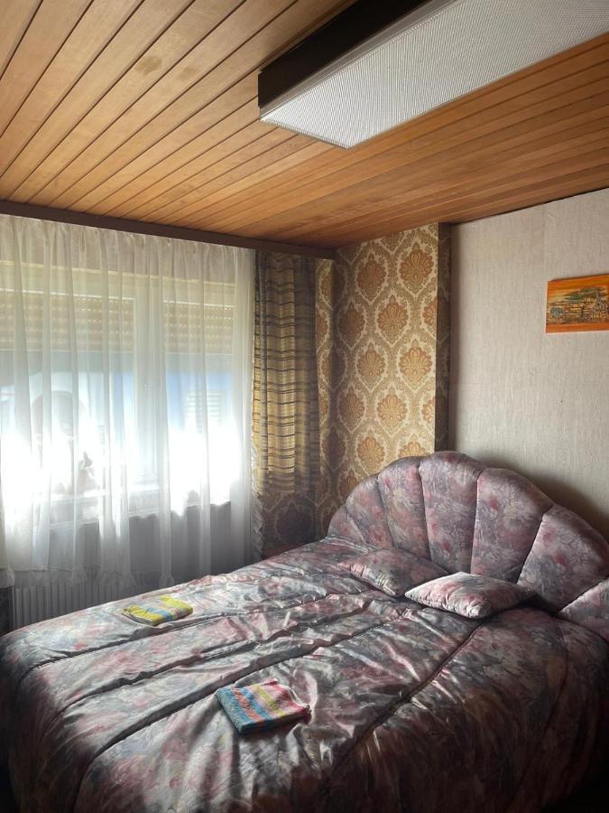 Villa Haus Rennsteig à Reichenbach im Vogtland Extérieur photo